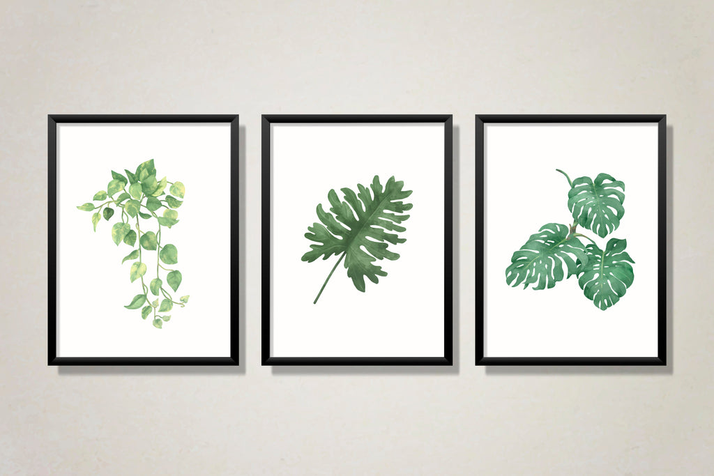 Wall Décor