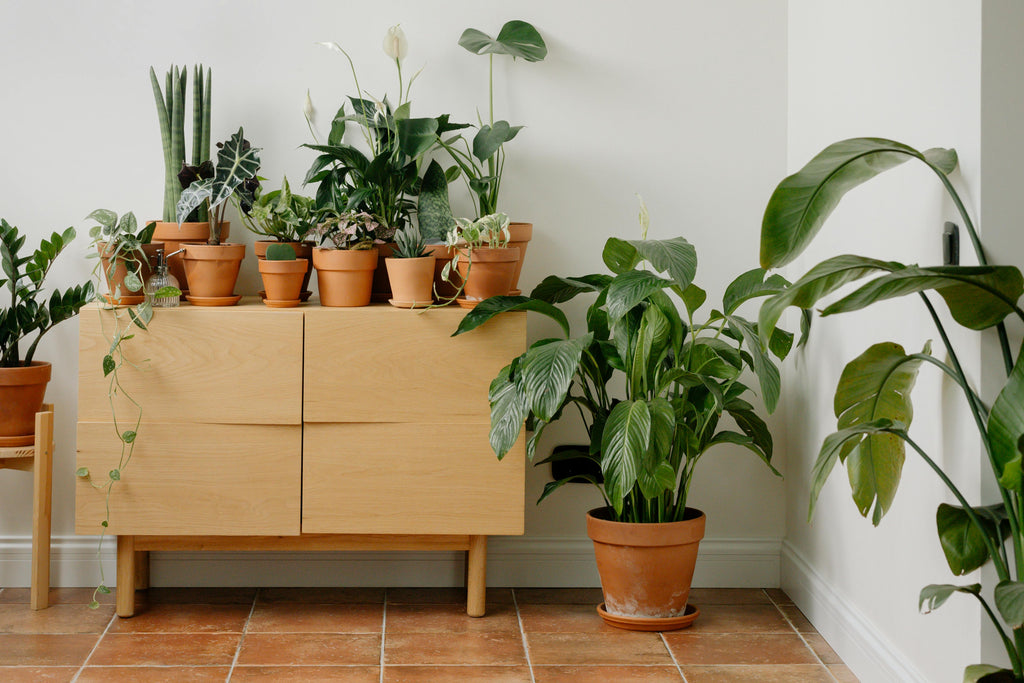 Nightstands & Side Tables