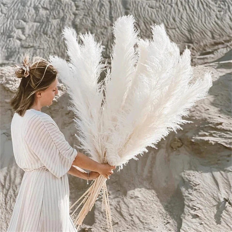 Fluffy Large Pampas Grass Decor | Natural Home Decoration for Weddings & Events (White, Natural Color)